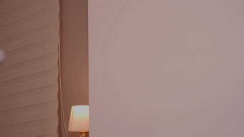 Media: Video of a minimalist room with a beige wall and a wooden panel on the left. A small, beige lamp with a white shade casts a warm glow. The background is uncluttered, highlighting the clean, modern aesthetic.