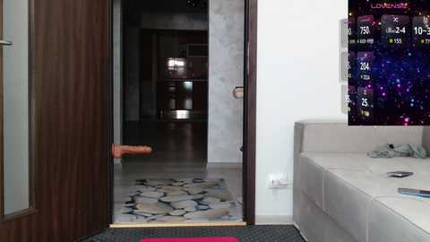 Media: Video of a modern living room with a white leather sofa, a stone-patterned rug, and a partially open wooden door revealing a sleek, minimalist kitchen in the background.