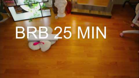 Media: Video of a cozy living room with a wooden floor, featuring a plush white bunny toy, a digital clock, and a white statue. Text overlays read \"BB 25 MIN.\