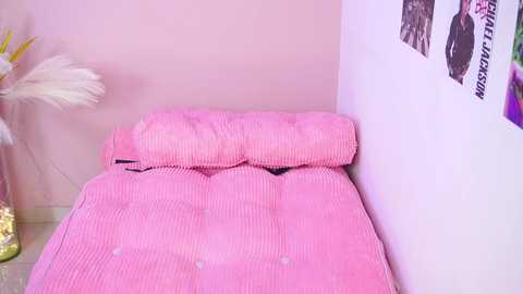 Media: Video of a small, pink, tufted bed with matching pillows in a pastel pink room. The wall features black-and-white posters and a tall, white feather plant in the corner.