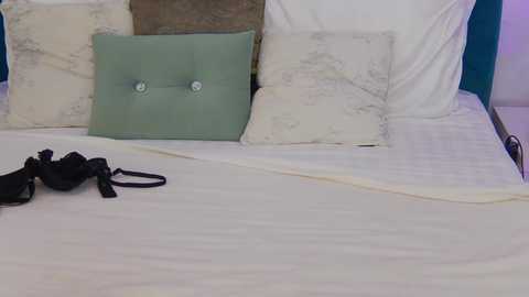 Media: A video of a neatly made bed with a light-colored quilt, multiple pillows, including a tufted green pillow, and a black bra discarded on the quilt.