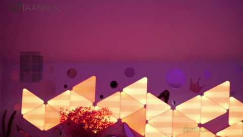 Media: Video of a modern room with geometric, triangular LED light panels emitting warm light, creating a cozy atmosphere. A potted plant with vibrant red flowers adds a splash of color in the foreground. The background features a soft, pinkish hue.