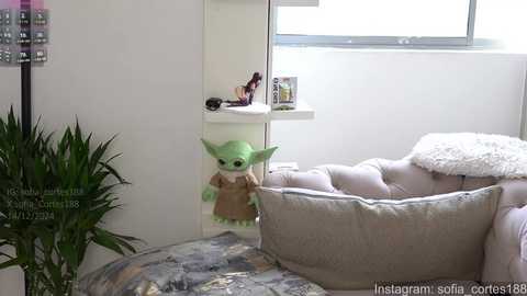 Media: Video of a minimalist, modern bedroom with a green Grogu plush toy in a beige dog bed, against a white wall with a window, a green plant, and a small shelf with decorative items.