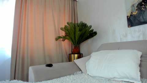 Media: Video of a minimalist bedroom featuring a beige bed with white pillows, a potted palm plant, and beige curtains, with a painting on the wall.