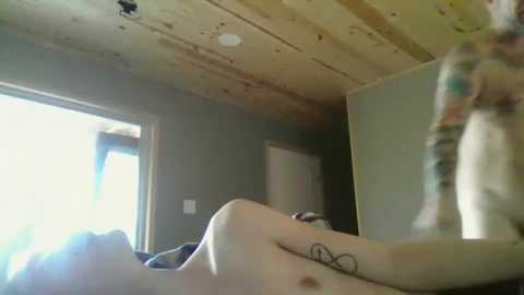 Media: Video of a nude woman with pale skin, tattooed legs, and small breasts, lying on a bed in a dimly lit room with wooden ceiling and green walls.