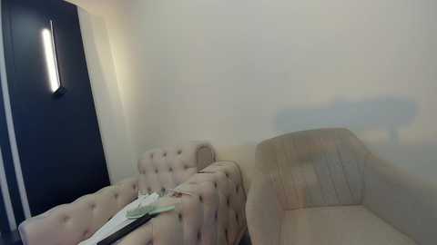 Media: Video of a minimalist living room with beige tufted sofa, light beige walls, and a modern vertical wall lamp; a white paper lies on the sofa.