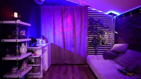 Media: Video of a cozy, dimly-lit bedroom with purple and blue LED lighting, white bed, striped window shades, potted plants, wooden floor, white shelves, and various decorative items.