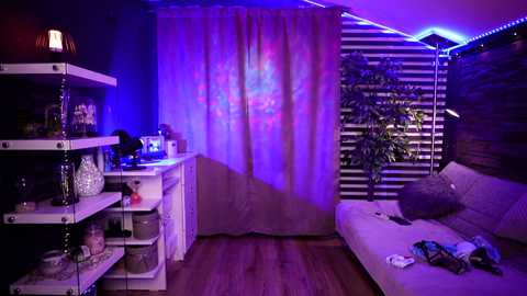 Media: Video of a dimly lit, modern bedroom with purple and blue LED strip lighting, white curtains, a white sofa, and a plant.