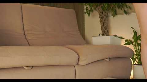 Media: Video of a beige leather sofa with tufted cushions, a large potted plant with lush green leaves, and a small white table lamp in a modern, minimalistic living room with beige walls.