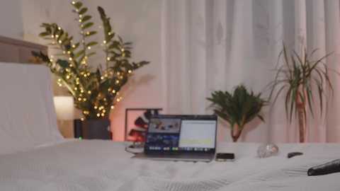 Media: A video of a modern bedroom with a laptop open on a bed, displaying a website with colorful graphics. A potted plant with tall leaves and string lights adds a cozy ambiance.