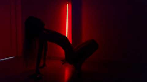 Media: A dimly lit video of a nude, dark-skinned woman in silhouette performing a dance pose, against a red-lit wall, with a vertical red light strip adding dramatic effect.