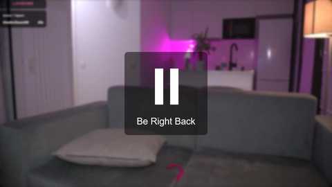 Media: A dimly lit, modern living room with a grey couch, a pillow, and a plant. A digital overlay says \"Be Right Back,\" indicating an interruption.