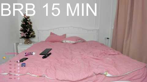 Media: Video of a bed with pink quilt, pillows, remote control, and a TV on a white nightstand; beside it, a small Christmas tree. Text: \"BBR 15 MIN\" in white.