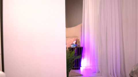 Media: Video of a minimalist bedroom with a white, sheer curtain partially drawn, revealing a beige upholstered chair, a potted fern, and a glowing purple lamp on the floor.