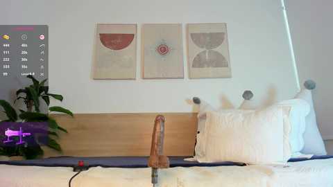 Media: Video of a modern bedroom with a minimalist aesthetic. A wooden headboard features a large, realistic dildo on a bed with white linens. Three abstract, geometric wall hangings are displayed above. A digital clock and a potted plant are visible on the left.