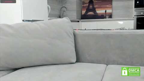 Media: A video of a modern, minimalist living room with a light gray sofa, a flat-screen TV showing a sunset over the Eiffel Tower, and a sleek kitchen background.