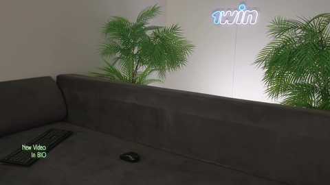 Video of a modern, dark gray sectional sofa with a black remote control on the left side, against a plain white wall with a large, green potted palm tree and the \"Xfinity\" logo in blue and white.