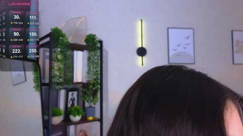 Media: Video of a woman with long, dark hair, partially cropped, in a modern living room with a black bookshelf adorned with green plants, framed art, and a hanging wall lamp.