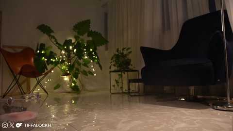 Media: Video of a dimly lit room with a black armchair, green plants, string lights, and a leather chair. Water damage on the floor.