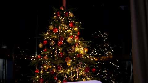 Media: A video of a lit Christmas tree adorned with red and gold ornaments and string lights, set against a dark, night-time background with indistinctly visible holiday lights.