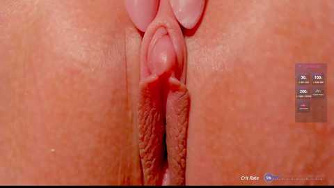 Media: Close-up video of a light-skinned vulva with visible labia minora and majora, natural texture and coloration, set against a reddish background.