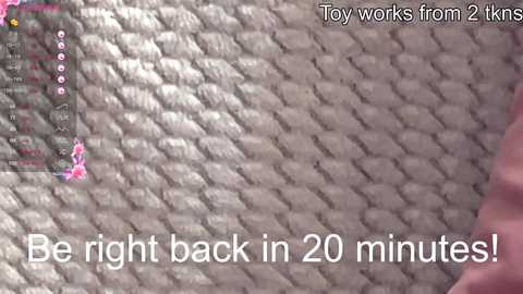 Media: Video of a close-up of a beige, textured carpet with a pink stain, overlaid with a text overlay promoting a toy cleaner that works in 20 minutes.