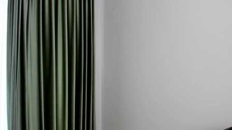 Media: A video featuring a corner of a room with a vertical, dark green curtain on the left and a plain, light gray wall on the right. The curtain has a smooth, slightly glossy texture.