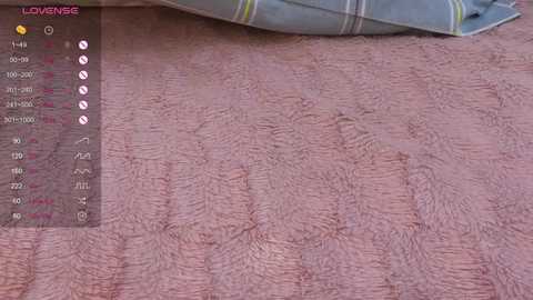 Media: A video shows a soft, pink, textured blanket with a slight sheen. A gray and white pillow with a plaid pattern is partially visible in the top right corner.