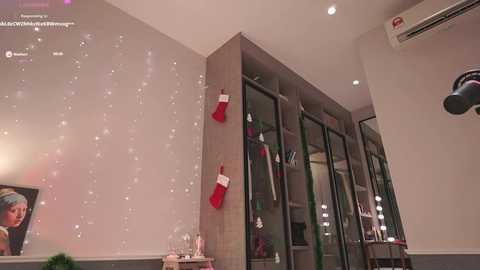 Media: Video of a modern, well-lit closet with beige walls, wooden shelves, and red and white stockings hanging. A framed portrait of a woman in a black dress is on the left, and a ceiling-mounted air conditioner is on the right.