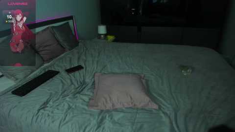 Media: Video of a dimly lit bedroom with a gray bedspread, a pink pillow, and a remote control on the bed. A small, blurry reflection of a person is visible in the mirror.