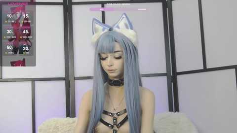 Media: Video of a slender, fair-skinned woman with long, straight blue hair and cat ears, wearing a black leather harness, sitting in a room with white walls and a black-and-white grid pattern.