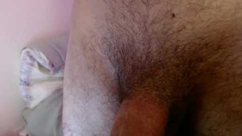 Media: Video of a close-up of a man's pubic area with visible hair, skin texture, and a partially erect penis. Background shows a white towel with faint patterns.