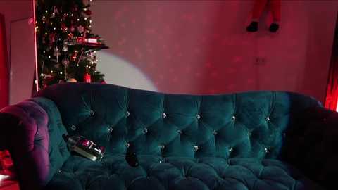 Media: Video of a teal velvet sofa with a black purse, Christmas tree with ornaments, red stockings, and red lighting in a festive living room.