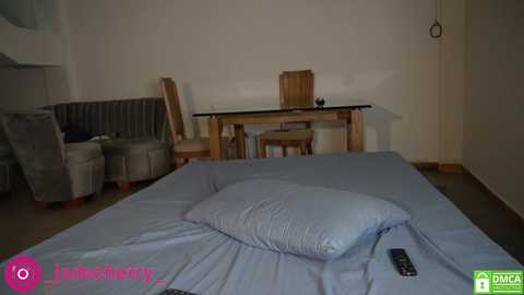 Media: Video of a minimalist living room with a grey sofa, wooden dining table, chairs, and a blue bed in the foreground, with a remote control on the bed.