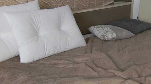 Media: Video of a neatly made bed with a beige quilted bedspread, a white pillow with a tufted design, and a gray pillow. The background features a beige and brown patterned headboard.