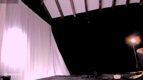 Media: Video of a dark theater stage with a white curtain partially drawn, revealing a spotlight illuminating the front. Exposed wooden beams are visible overhead. The image has a watermark \"ontanyu\" in the bottom left corner.