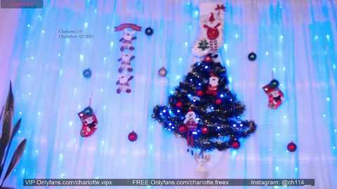 Media: Video of a festive Christmas tree made from a light blue tulle curtain, adorned with red and white ornaments, stockings, and a star on top.