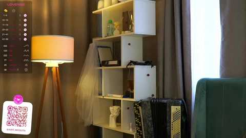 Media: Video of a modern living room with beige walls, white shelves, a tall lamp, and a teal armchair; a white box, a black accordion, and a framed photo are on the shelves.