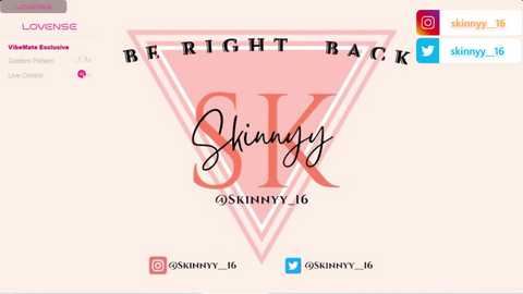 Media: A promotional poster for Skinny's Back, featuring a pink triangle with \"Skinny's Back\" in bold, black serif font. The background is a beige color, with social media icons in the top right corner.