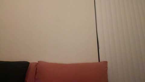 Media: A video of a beige wall with a vertical black line, featuring a pink pillow and a black cushion on a couch. The image is indoors with muted lighting.