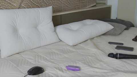 Media: A video of a neatly made bed with white pillows and a quilted beige duvet. A purple vibrator and black remote are on the bed, along with two black sex toys. The background features a textured wall and a wooden headboard.