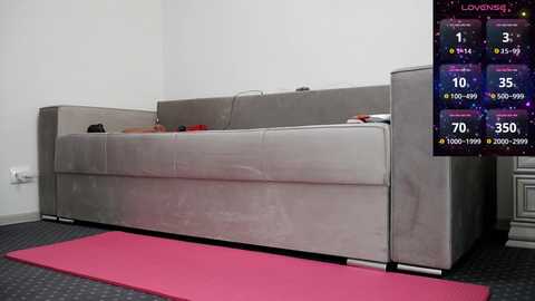 Media: Video of a modern living room with a grey sectional sofa on a pink yoga mat, a grey carpet, and a digital fitness tracker display showing workout stats on the right wall.