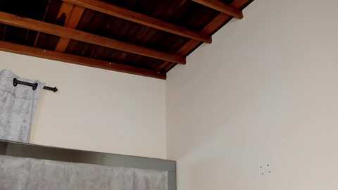 Media: Video of a minimalist bathroom corner with a beige wall, exposed wooden ceiling beams, and a grey towel hanging on a black metal bar.