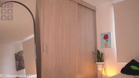 Media: Video of a minimalist bedroom with a large, light-wood wardrobe, a mirror, a potted plant, and a framed red flower on a white wall.