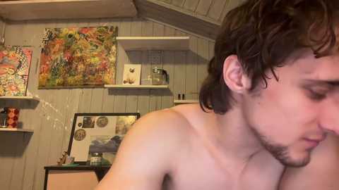 Media: Video of a shirtless young man with curly dark hair, smiling slightly, in a cozy room with colorful, abstract paintings on the walls and shelves.