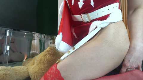 Media: Video of a woman in a red, Santa-themed lingerie set with white fur trim, wearing red thigh-high stockings, and a white belt, with a teddy bear and a glass aquarium in the background.