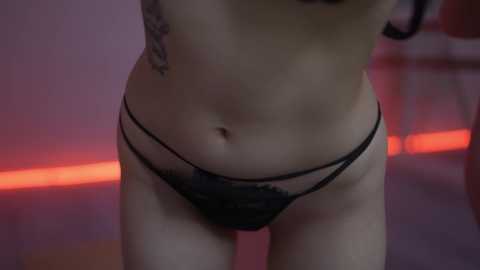 Media: Video of a light-skinned, slim female torso in black lace panties, standing in a dimly lit room with a red and purple lighting effect on the floor.