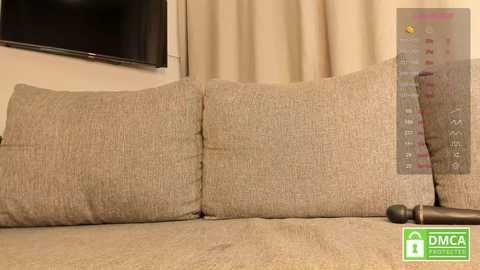 Media: Video of a beige, textured sofa with a ripped cushion. A TV is mounted on a beige wall behind, and a green DMC logo is visible in the lower right corner.