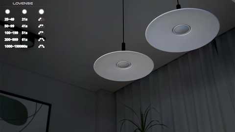 Media: Video of a modern room with two circular white ceiling lights. The background includes a wall with vertical blinds and a green plant. A digital interface with icons and text is visible in the upper left corner.