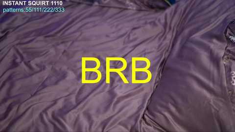 Media: Video of a purple tent fabric with the words \"BRB\" in bright yellow letters. Text at the top reads \"Instant Squirrel 1110 patterns 5/11122303.\